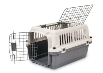 Who Let The DOGE Out? 1 Billion Coins Unleashed, Triggering Community Speculation