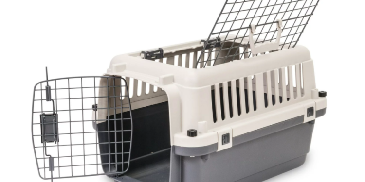 Who Let The DOGE Out? 1 Billion Coins Unleashed, Triggering Community Speculation