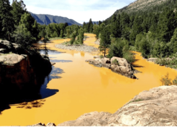 The Environmental Cost of Gold Mining