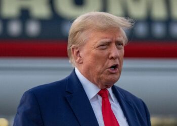 Trump Yields A 15,000% Return With This Crypto Meme Coin