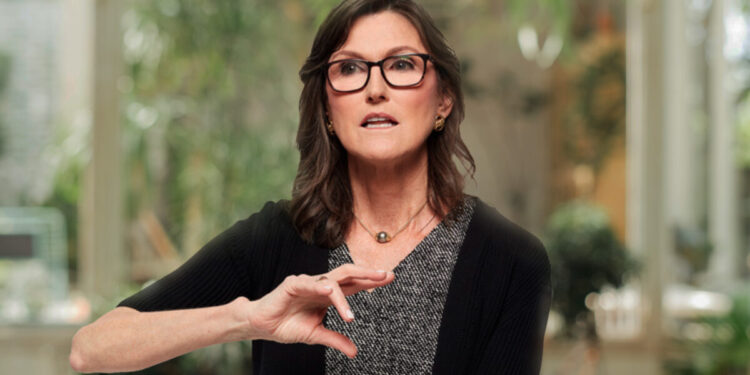 Wood Fires Back At Gensler’s Crypto Denigration