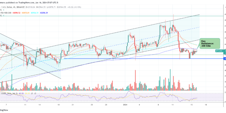 Bitwise CIO Equates Bitcoin ETF Impact To 1.4 Halvings