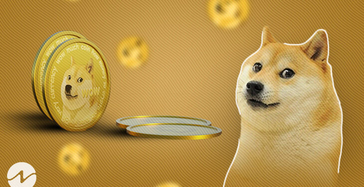 ‘I Still Own A Bunch Of Dogecoin,’ Tesla CEO Elon Musk Reveals