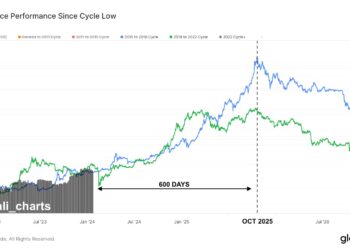 This Is When Bull Run Will Peak According To Past Pattern