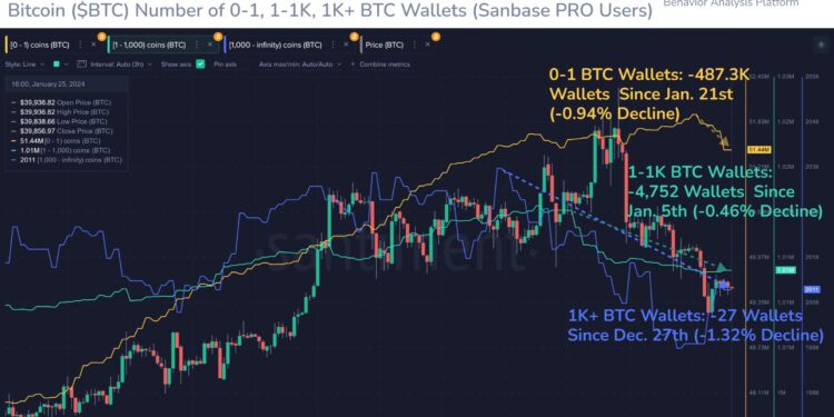 Holders Flee BTC As Post-ETF Disappointment Hits