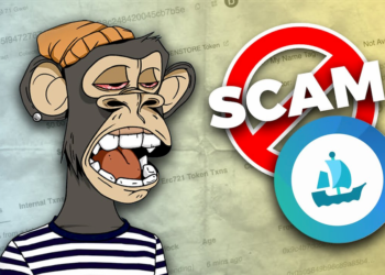 Be Alert! Scammers Are On The Hunt – They Have Just Stolen An Azuki NFT On OpenSea