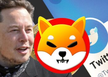 Forget Dogecoin Payments On X: Shiba Inu Team Advocates For SHIB Inclusion