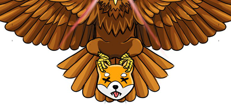 New and Best Meme Coins to Buy January 24 – dogwifhat, Shiba Predator, 4Chan