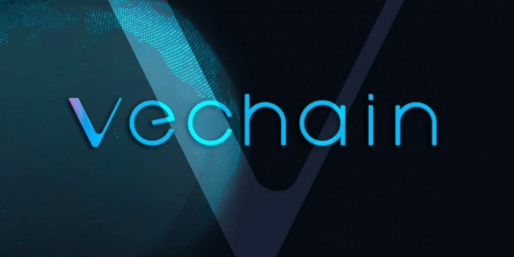 Next Cryptocurrency To Explode Monday, January 8 – Wall Street Memes, VeChain, Axelar 