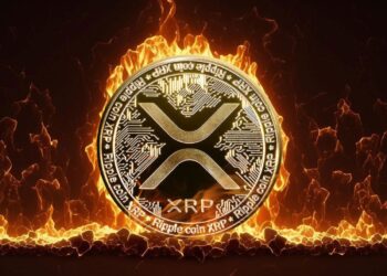Ripple CTO Responds To Community Calls To Burn XRP Holdings