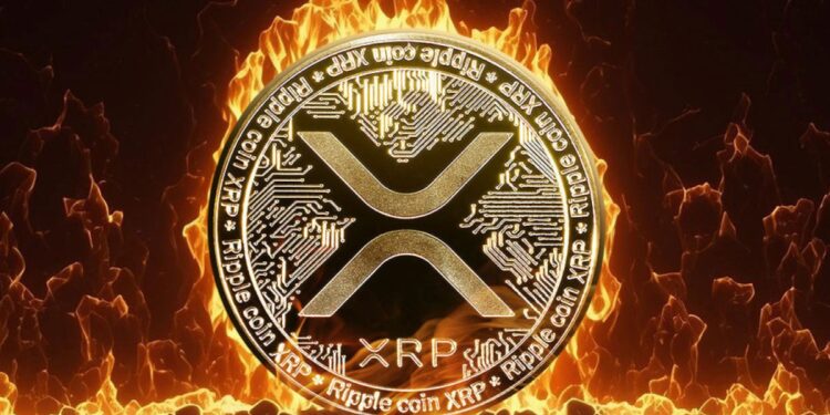 Ripple CTO Responds To Community Calls To Burn XRP Holdings