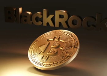 BlackRock’s Total BTC Holdings Revealed