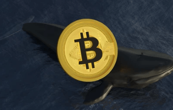 Bitcoin Whale Carries Out Massive Sell-Off