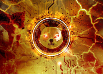 Over 12 Million SHIB Vaporized