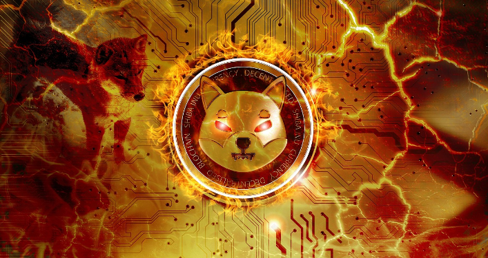 Over 12 Million SHIB Vaporized