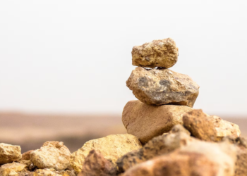 Saylor Smashes Dimon’s ‘Pet Rock’ Analogy: ‘It’s Digital Money, Jamie!’