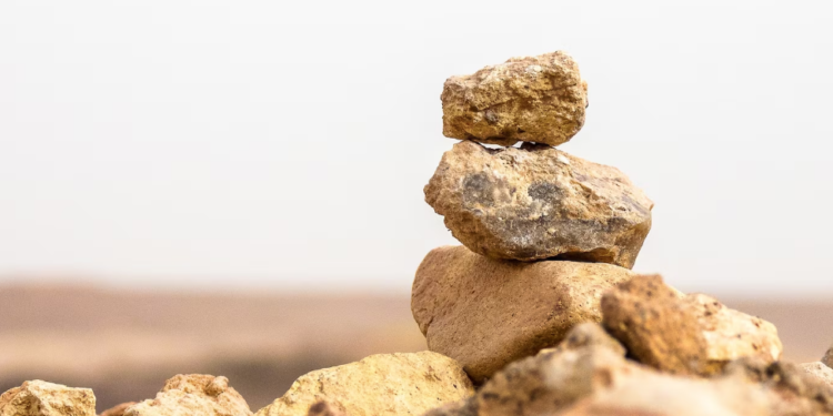 Saylor Smashes Dimon’s ‘Pet Rock’ Analogy: ‘It’s Digital Money, Jamie!’