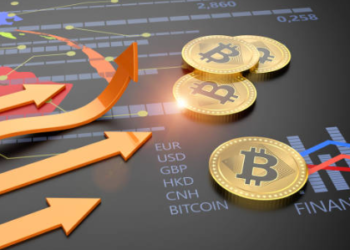 Bitcoin Unrealized Gains Swell To 55%