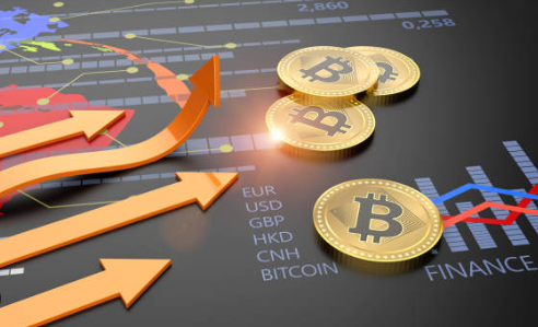 Bitcoin Unrealized Gains Swell To 55%