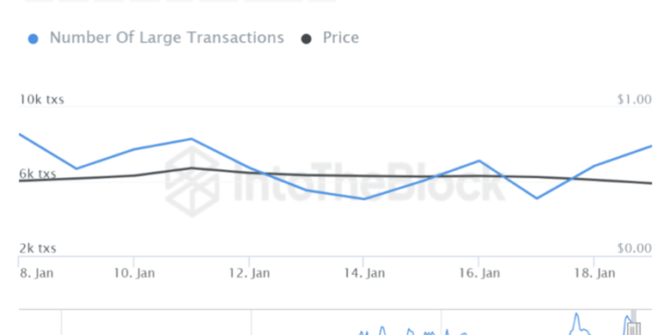 Whales Go Wild: Cardano Transactions Surge 11%