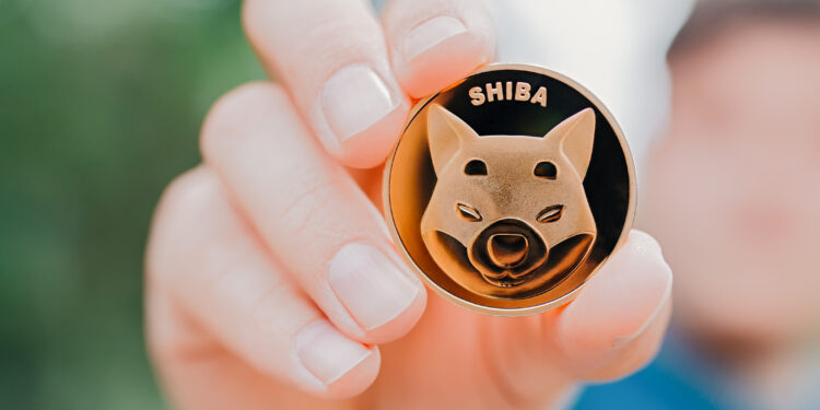 Shiba Inu Whale Accumulates Massive Holdings, Amid Price Recovery