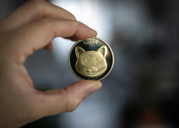 Shiba Inu Burn Rate Skyrockets Over 300% As Price Sheds A Zero