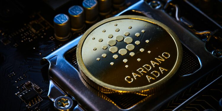 Cardano (ADA) Remains #1 Cryptocurrency In This Metric