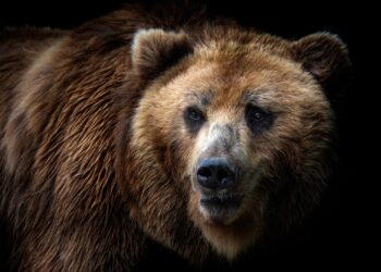 50,000 Bitcoin Dormant Since 5+ Yrs Ago Moves: Bearish Sign?