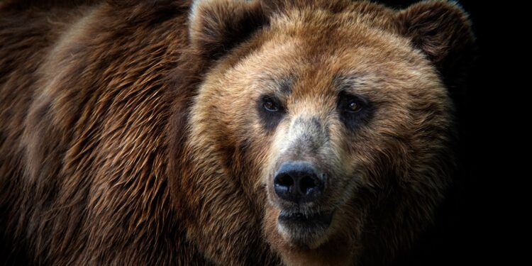 50,000 Bitcoin Dormant Since 5+ Yrs Ago Moves: Bearish Sign?