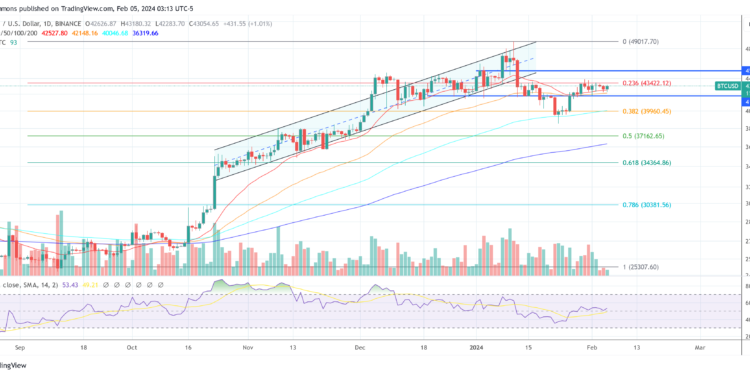 Why Is Bitcoin Price Not Going Up Despite The ETFs? Expert