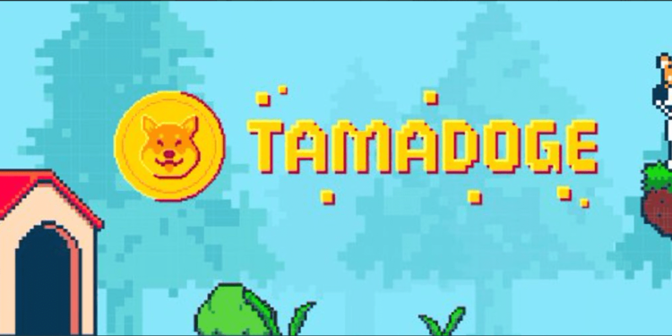 Play-To-Earn Games Trailblazer Tamadoge Unveils $TAMA V2 On Polygon