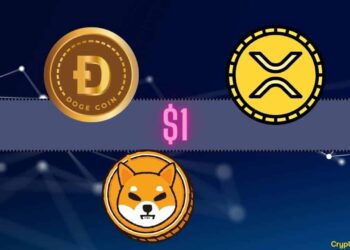 Binance Releases Proof Of Reserves: Here’s How Much DOGE, SHIB, And XRP It Holds