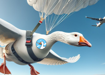 Honk Price Prediction: Solana Meme Coin HONK Nosedives 35%, But Experts Say This Meme Coin May 100X As It Migrates To Polygon