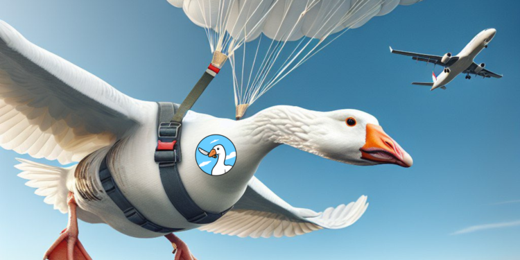 Honk Price Prediction: Solana Meme Coin HONK Nosedives 35%, But Experts Say This Meme Coin May 100X As It Migrates To Polygon