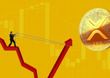 Ripple CTO Allays Fears Of XRP Price Drop When AMM Feature Launches