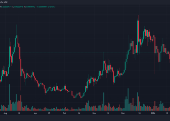 Shiba Inu Records 2,500% Spike In Whale Activity, SHIB Price About To Skyrocket?