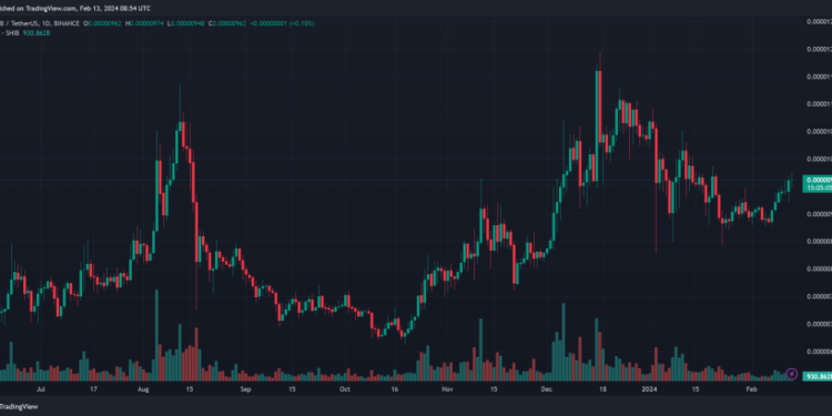 Shiba Inu Records 2,500% Spike In Whale Activity, SHIB Price About To Skyrocket?