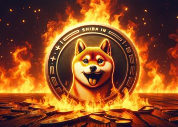 Shiba Inu Team Prepares To Go On Massive Burn Spree, These 4 Assets Are The Targets