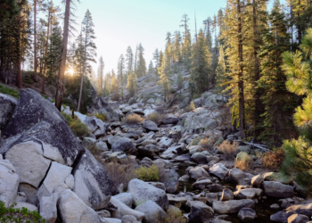 Bumpy Road Ahead For Bitcoin? CEO Reveals Predictions On BTC Possible Price Floor