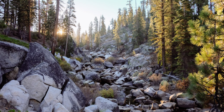 Bumpy Road Ahead For Bitcoin? CEO Reveals Predictions On BTC Possible Price Floor