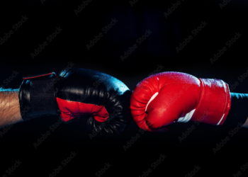 Let’s Get Ready To Rumble! Elon Musk And Cardano Team Up To Defend Bitcoin Against ECB