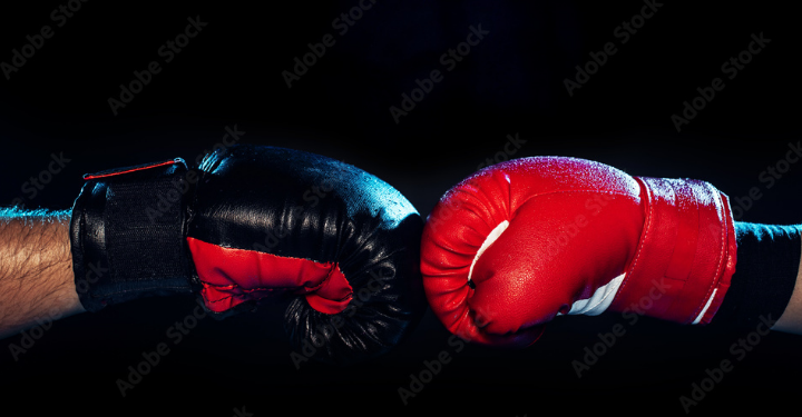 Let’s Get Ready To Rumble! Elon Musk And Cardano Team Up To Defend Bitcoin Against ECB
