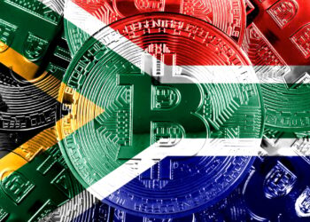 South Africa Regulators to Unveil Document Categorizing Stablecoins as a ‘Particular Type of Crypto Asset’