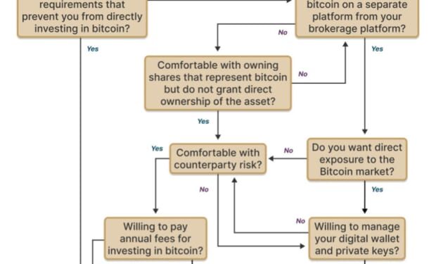 The No-coiner Texts Arrive: A Bull Market Beckons