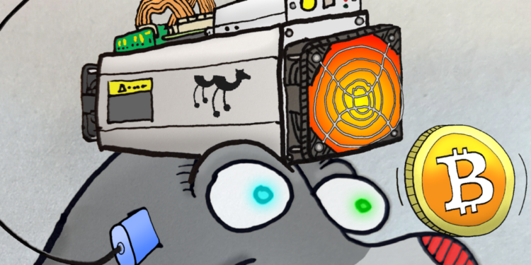 Ordinals vs Layer 2 Metaprotocols, Part 2: The Final Showdown?