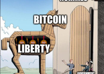 Scaling Liberty: Bitcoin's Tension Between Ideology and Adoption