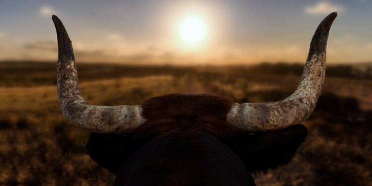 Is This Historical Bitcoin Bull Run Pattern Finally Forming?