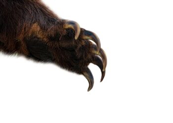 Bitcoin Finds Defeat At Historical Level: More Pain Ahead?