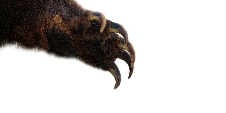 Bitcoin Finds Defeat At Historical Level: More Pain Ahead?