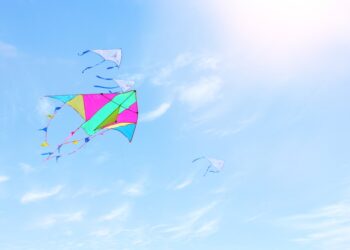 SOL Price Surges To $115 – Why Solana Could Rally Another 10%